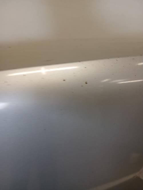 Image Capot - MERCEDES CLASSE B 245