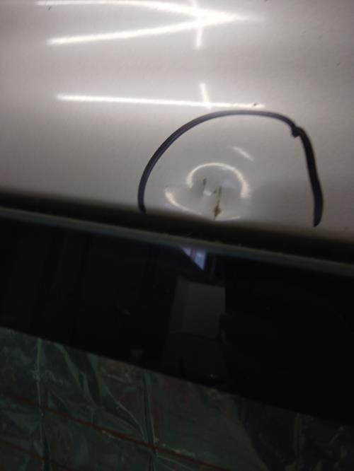 Image Porte de coffre droit - RENAULT TRAFIC 2