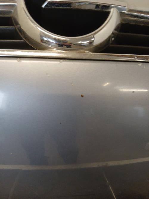 Image Capot - OPEL ZAFIRA A