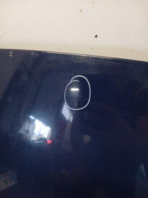 Image Capot - RENAULT GRAND SCENIC 2