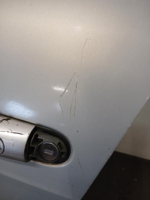 Image Porte avant gauche - RENAULT MEGANE 2
