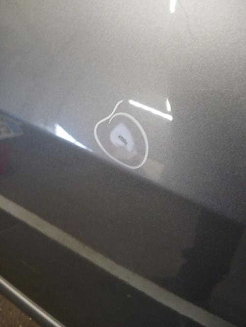 Image Porte arriere gauche - RENAULT GRAND MODUS