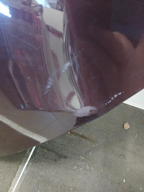 Image Porte arriere gauche - FORD FIESTA 6