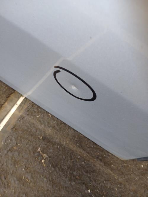 Image Porte arriere droit - RENAULT LAGUNA 3
