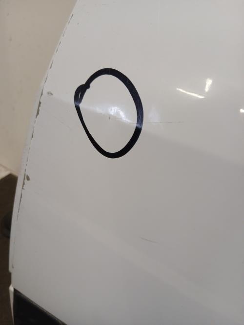 Image Porte arriere gauche - DACIA LOGAN MCV 1