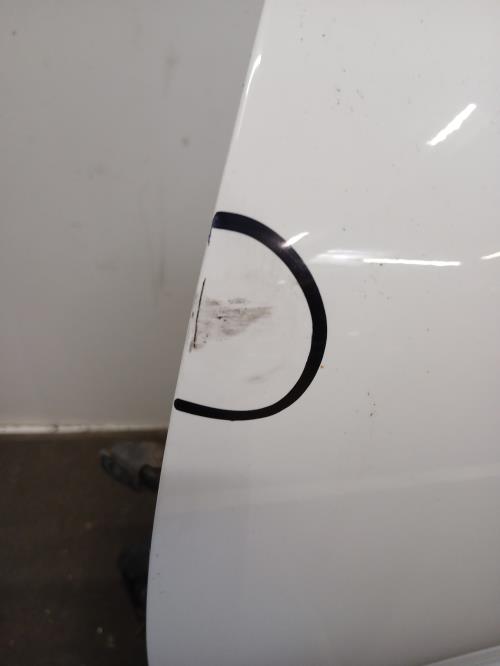 Image Porte avant gauche - RENAULT CLIO 4