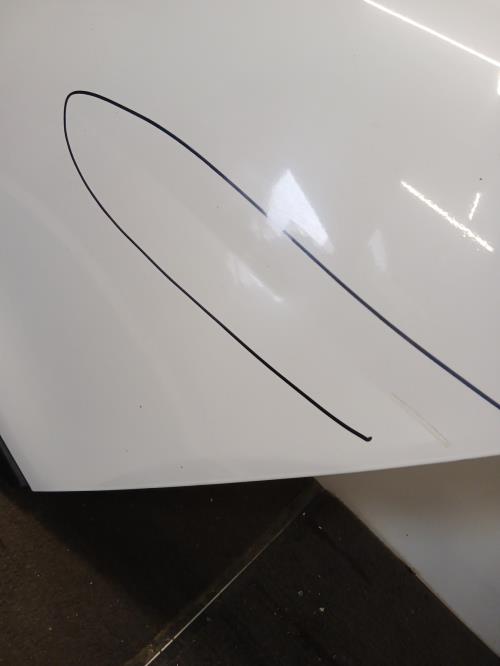 Image Porte arriere gauche - RENAULT CLIO 4