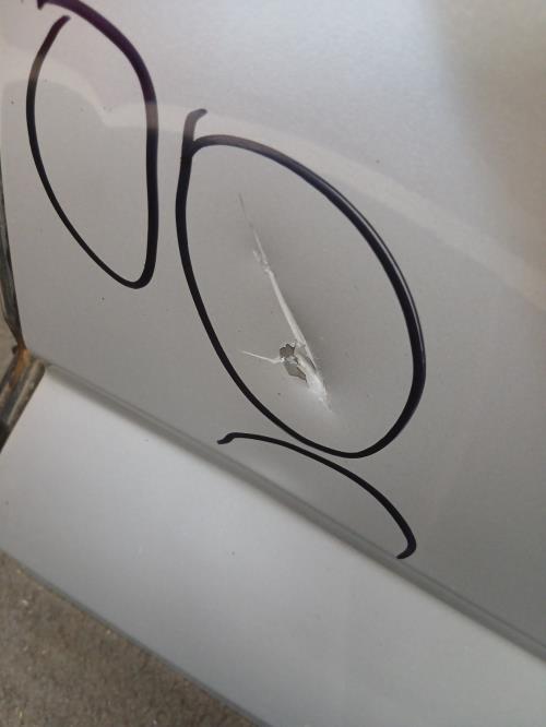 Image Porte arriere gauche - RENAULT MEGANE 4