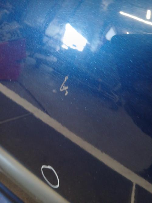 Image Porte avant gauche - PEUGEOT 207