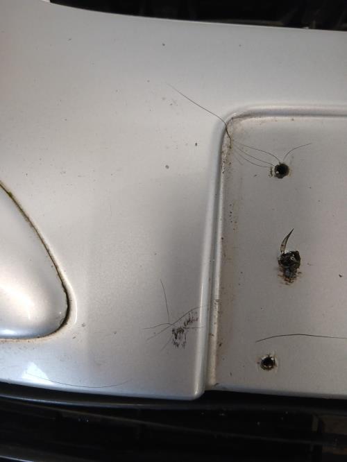 Image Pare choc avant - PEUGEOT 307