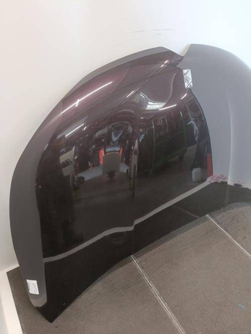 Image Capot - CITROEN DS4