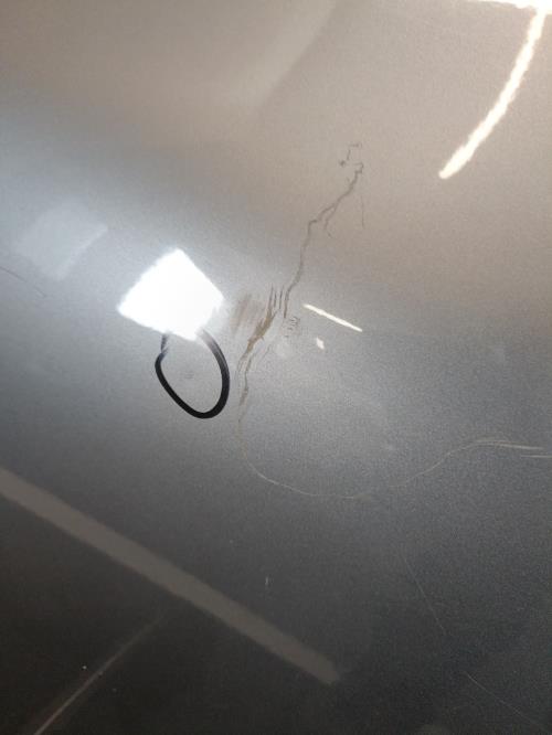 Image Porte arriere droit - RENAULT CLIO 4