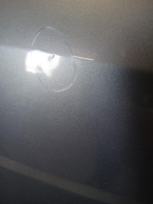 Image Porte avant droit - RENAULT SCENIC 2