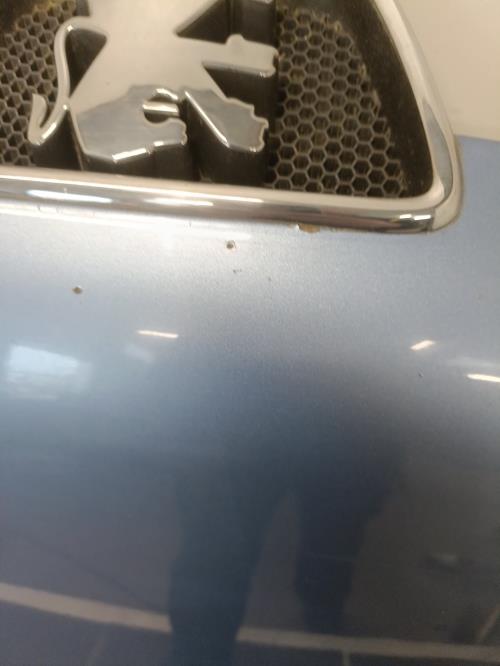 Image Capot - PEUGEOT 306