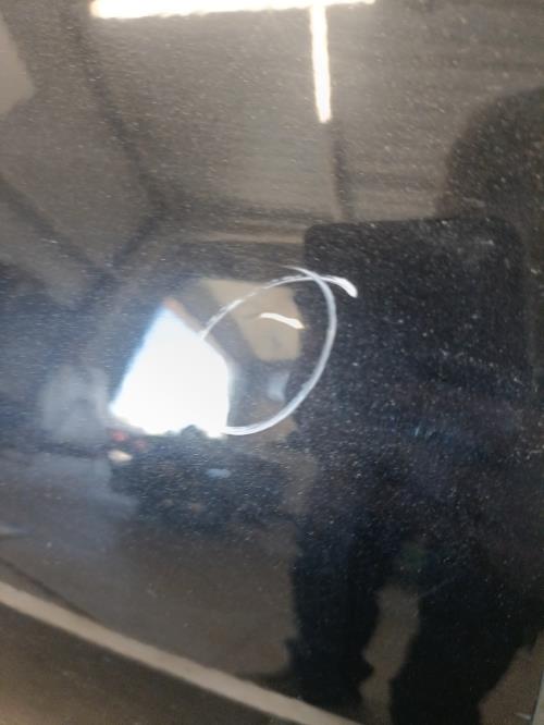 Image Porte arriere gauche - SEAT LEON 2