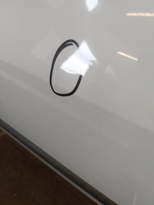 Image Porte avant gauche - RENAULT CLIO 3
