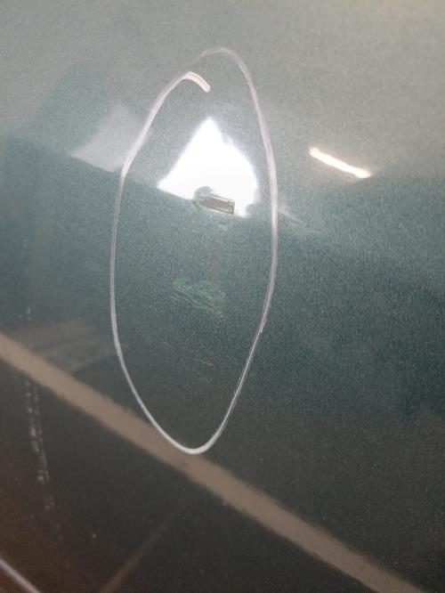 Image Porte arriere gauche - FORD FOCUS 1