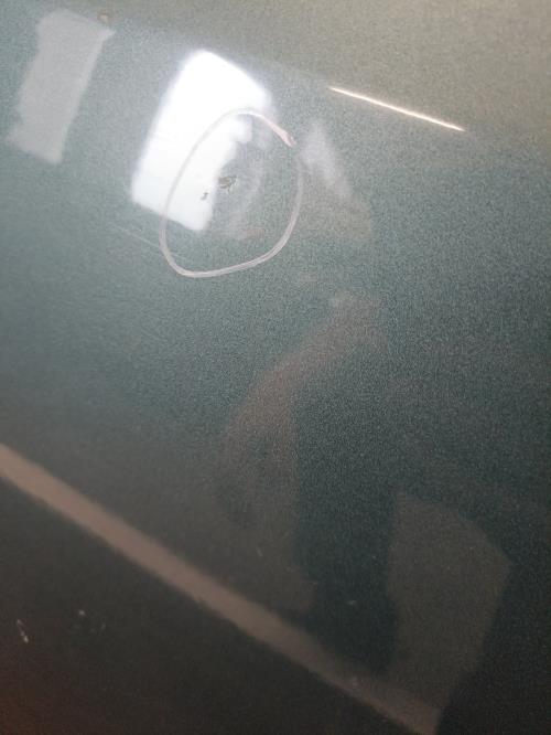 Image Porte arriere gauche - FORD FOCUS 1