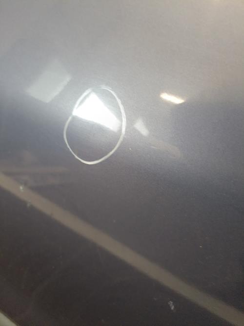 Image Porte arriere gauche - RENAULT R19