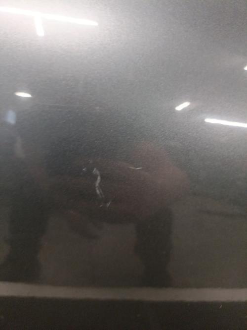 Image Porte arriere gauche - PEUGEOT 508 1