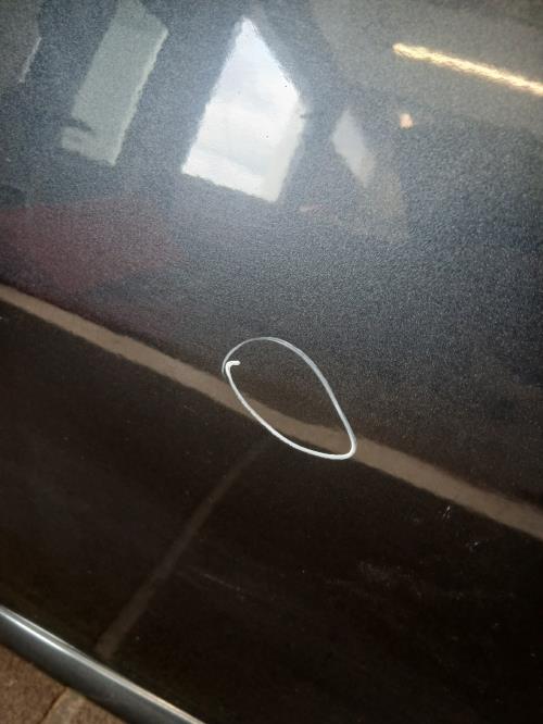 Image Porte avant gauche - DACIA SANDERO 1