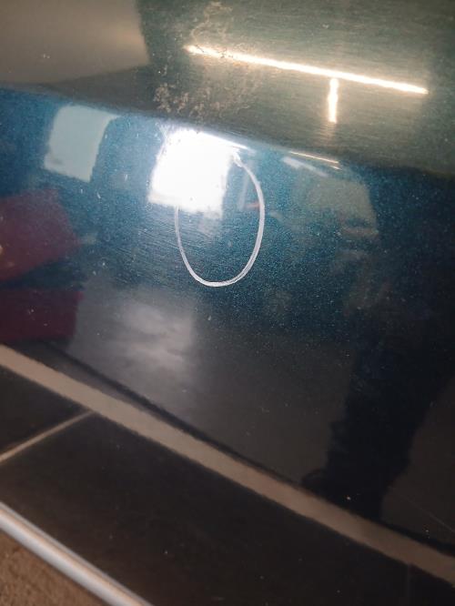 Image Porte arriere gauche - RENAULT LAGUNA 2