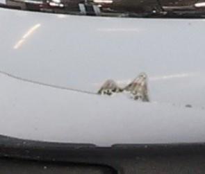 Image Retroviseur gauche - JAGUAR X-TYPE