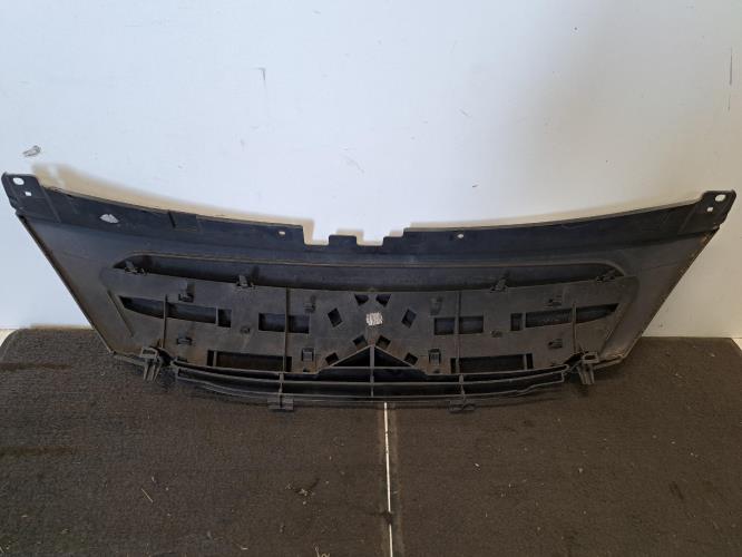 Image Calandre - CITROEN C3 1