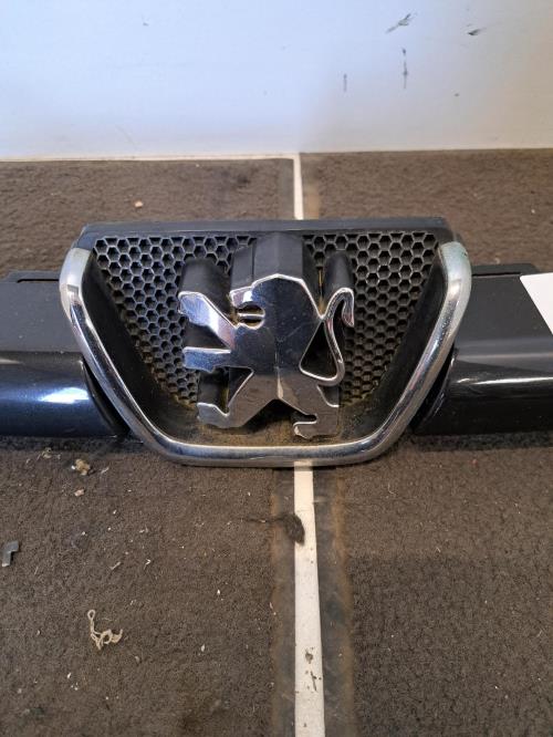 Image Calandre - PEUGEOT 206