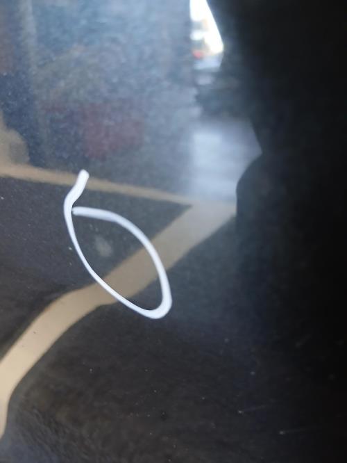 Image Porte arriere gauche - DACIA SANDERO 2