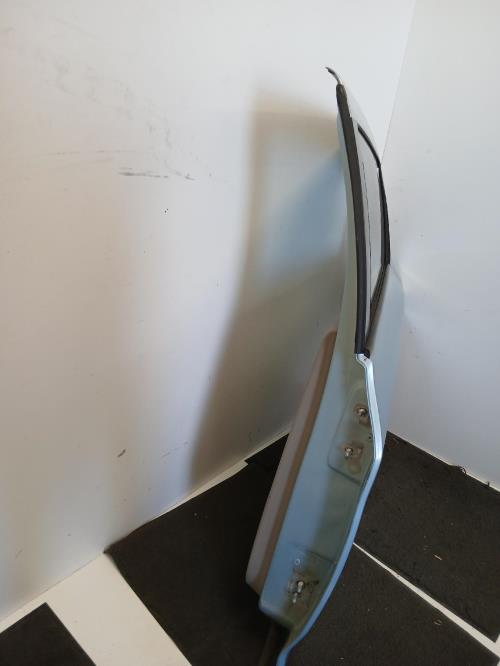 Image Porte arriere gauche - RENAULT ZOE 1