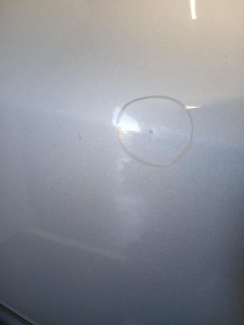 Image Porte arriere droit - RENAULT CLIO 3