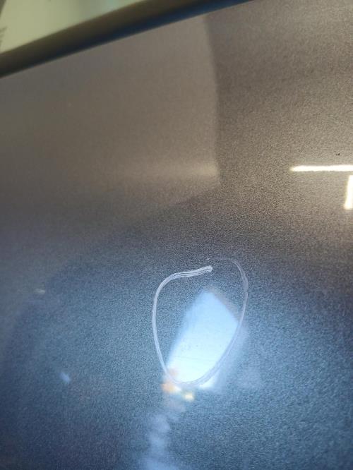 Image Porte avant droit - RENAULT CLIO 2