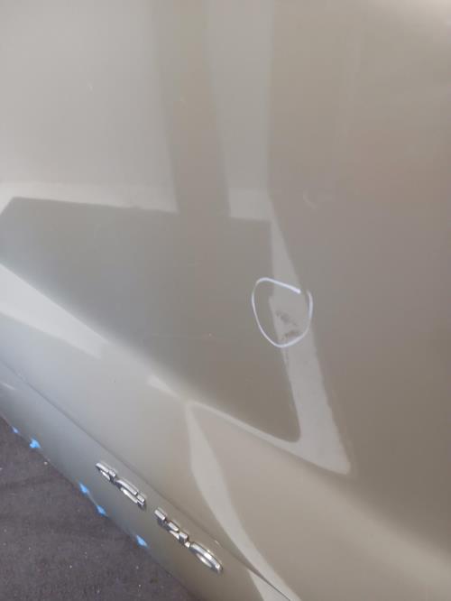 Image Porte avant droit - RENAULT TRAFIC 2