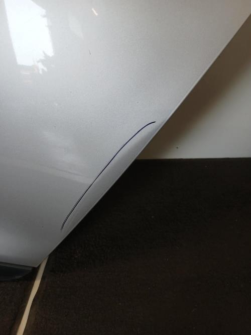Image Porte arriere gauche - RENAULT CLIO 4