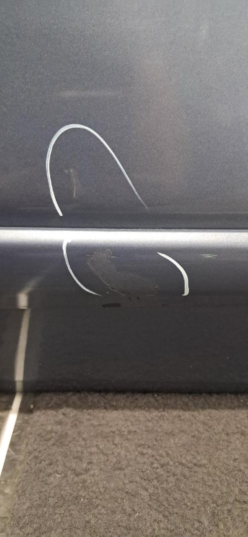 Image Porte arriere gauche - NISSAN NOTE 1