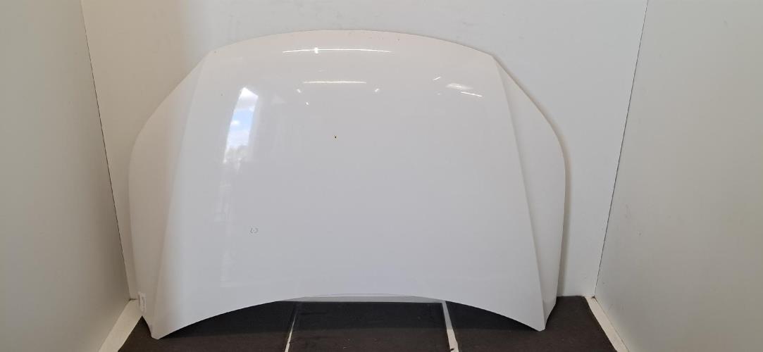 Image Capot - VOLKSWAGEN TIGUAN 1