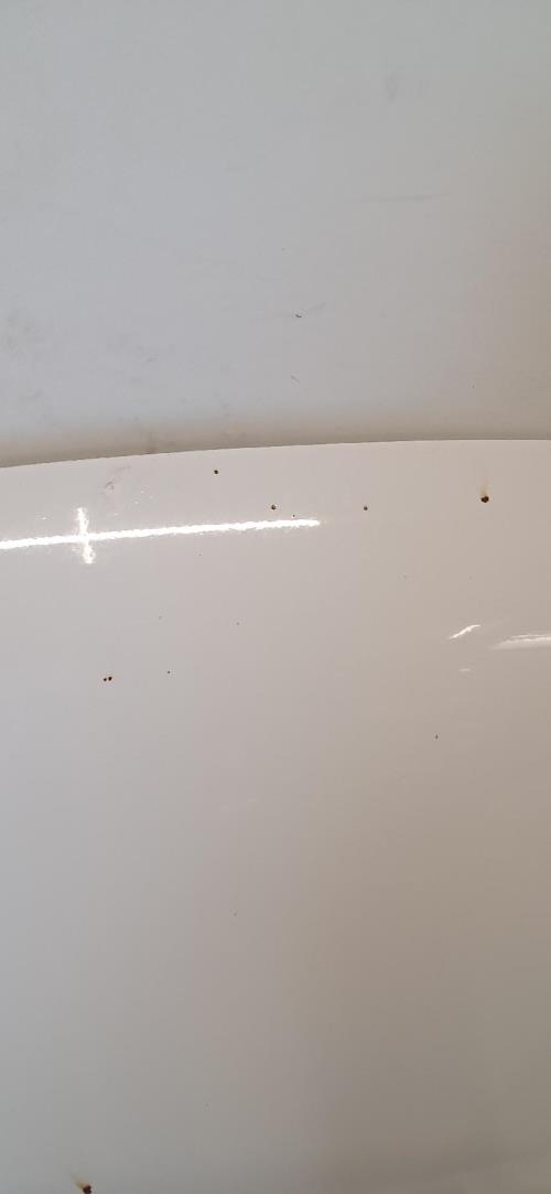 Image Capot - VOLKSWAGEN TIGUAN 1