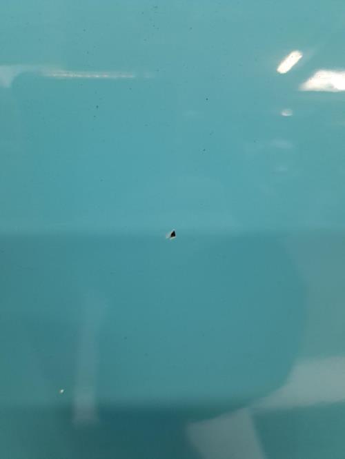 Image Porte arriere droit - CITROEN C1 2