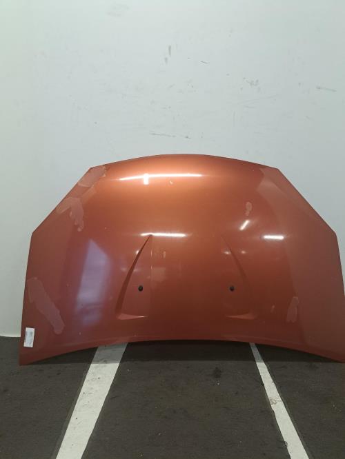 Image Capot - DACIA SANDERO 1