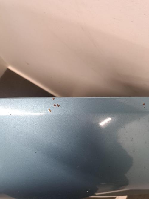 Image Capot - RENAULT CLIO 1