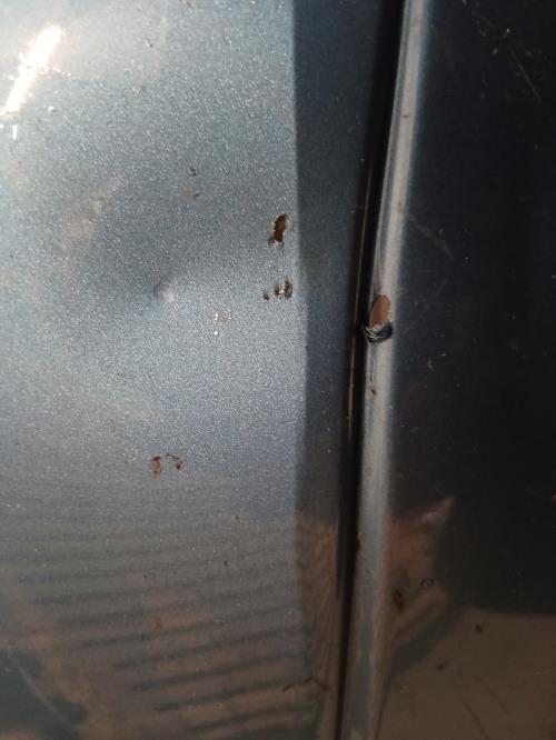 Image Pare choc avant - FORD FOCUS 1