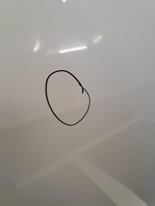 Image Porte avant droit - RENAULT SCENIC 3