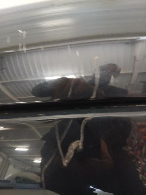 Image Pare choc arriere - AUDI A4 3