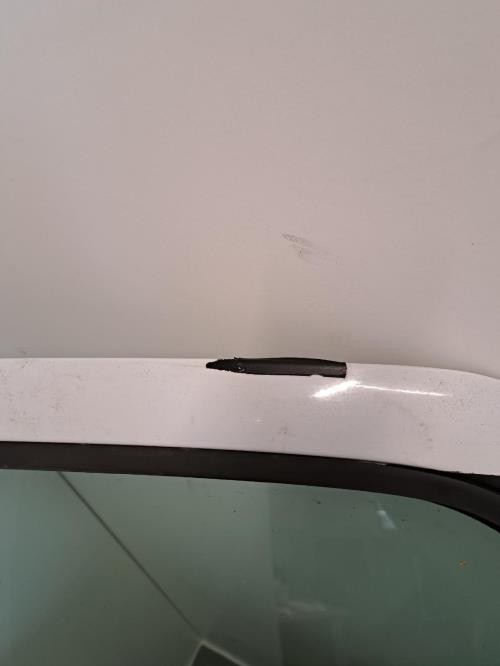 Image Porte arriere gauche - RENAULT SCENIC 1