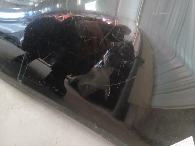 Image Pare choc avant - NISSAN MICRA 3