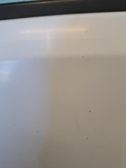 Image Porte arriere gauche - PEUGEOT 106