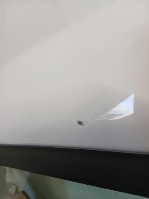 Image Porte avant gauche - NISSAN NV300