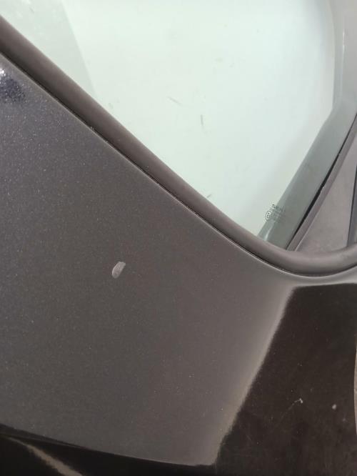 Image Porte arriere gauche - SEAT IBIZA 4