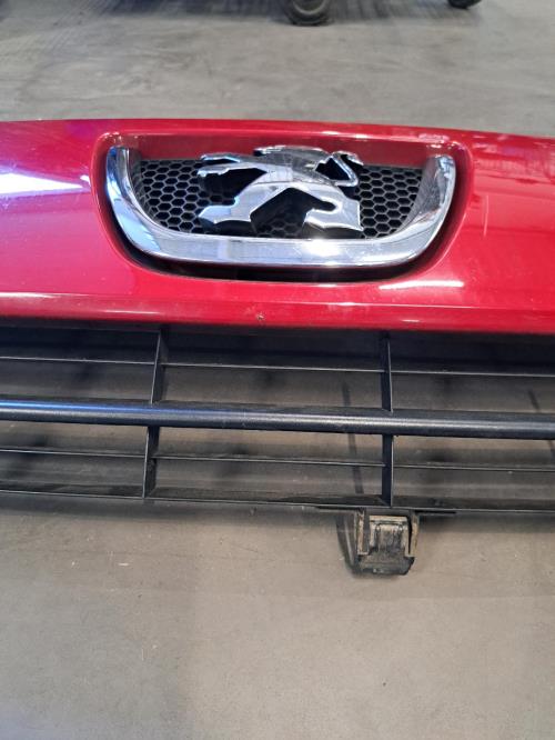 Image Calandre - PEUGEOT EXPERT 2
